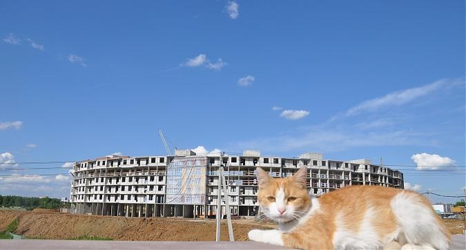 Талисман офиса продаж-кошка Мурка, на фоне 1-го корпуса в ЖК Легенда Квартирный контроль