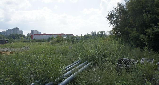 ЖК Новотомилино, предположительное место строительства, вид с Егорьевского ш., фото 7 Квартирный контроль