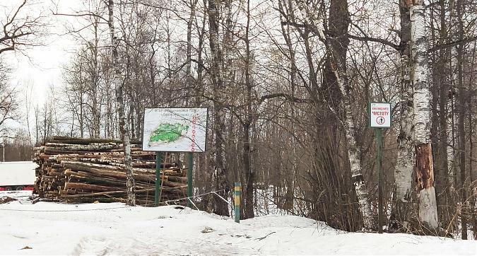 ЖК Сказочный Лес, лесопарк, вид с проектируемого пр-да №5061, фото 5 Квартирный контроль