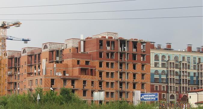 ЖК Видный город - вид с Расторгуевского шоссе, фото 7 Квартирный контроль