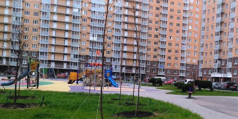  Квартирный контроль