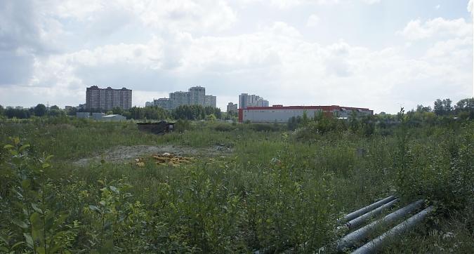 ЖК Новотомилино, предположительное место строительства, вид с Егорьевского ш., фото 2 Квартирный контроль