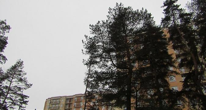 ЖК Радужный - вид на жилой комплекс с северо-восточной стороны, фото 7 Квартирный контроль